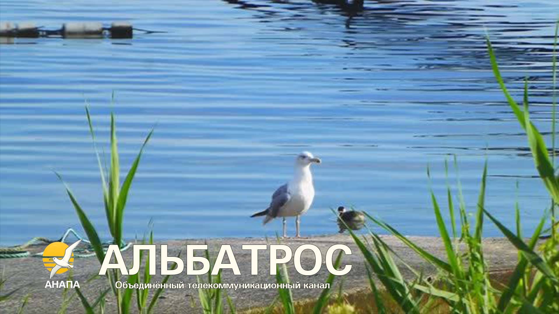Прогулка к морю. Набережная. Как хорошо - мало народу! Как раньше. С Наташей // 3 сентября 2025 г.