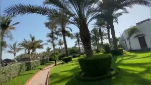 Отдых в,ОАЭ,Арабские эмираты,обзор,смотрим.