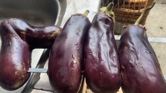 ГРИЛЬ САЛАТ из печеных овощей. Стейки на гриле!