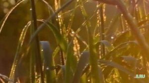 Интересные истории из реальной жизни слушать онлайн. Как фильм разрушил мой брак....