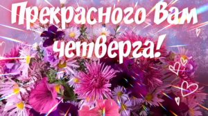 ПРЕКРАСНОГО ВАМ ЧЕТВЕРГА! С ДОБРЫМ УТРОМ!