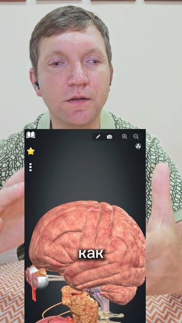 Как выглядит сеанс остеопатии от А до Я?