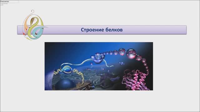 Строение белков смотреть онлайн
