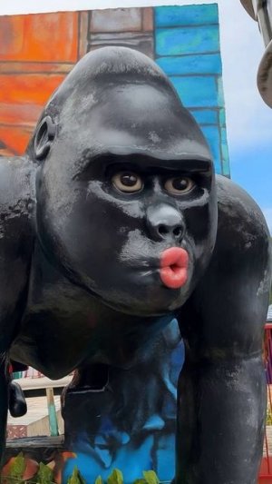 ОБЕЗЬЯНА УКРАЛА У АРИАНЫ ТЕЛЕФОН