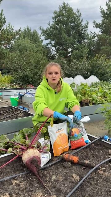 ГЛАВНОЕ ПРАВИЛО АГРОХИМИКА смотреть онлайн