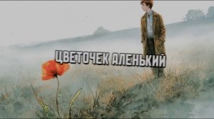 ЦВЕТОЧЕК АЛЕНЬКИЙ
#лучшиепесни #авторскаяпесня #музыка #сальса