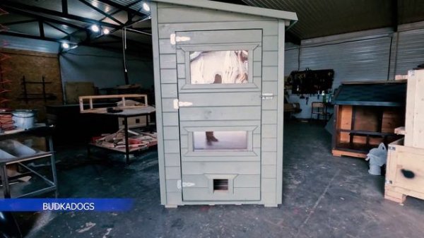 Кошачий дворец: создаем роскошное жилище для вашего питомца