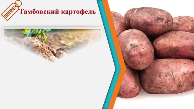 Мультифайл "Тамбовские бренды" смотреть онлайн