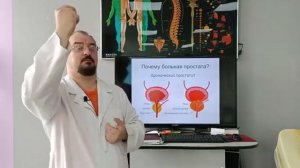 Почему возникают болезни простаты. Невролог В.М.Голод.mp4