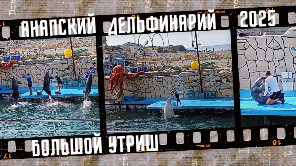 Анапский дельфинарий в Большом Утрише. смотреть онлайн