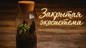 Закрытая экосистема: как сделать это легко и красиво
