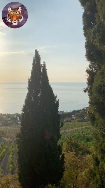 Рание утро Гора Медведь #tigrvtanke#горы #крым #медведь смотреть онлайн