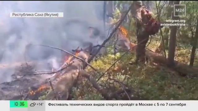 Москва 24 Лесные пожары в Якутии 03.09.2025 смотреть онлайн