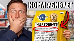 Эти ингредиенты убивают вашу собаку...😲 Что в собачьем корме?