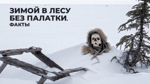 Ночевал в лесу зимой без палатки — что случилось дальше. Реальные истории выживших | Факты