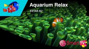 Aquarium LG Smart TV