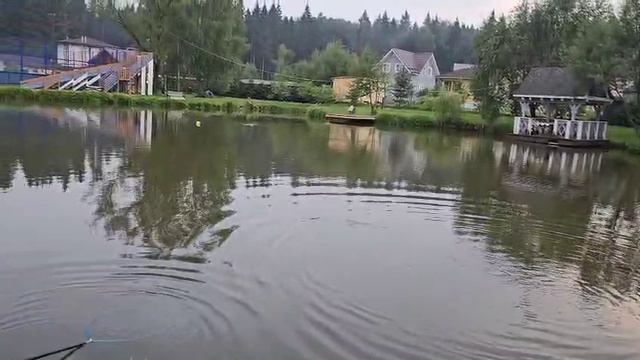 карп на херабуну 20.06.25