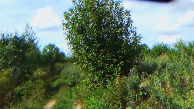 Последний день лета 2025 г..mp4