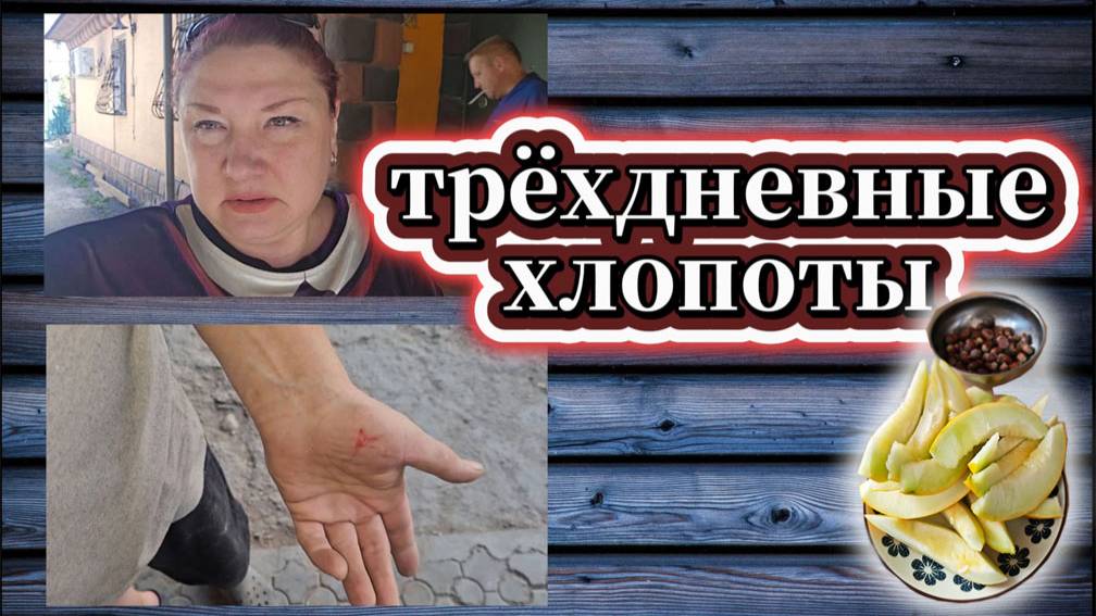 139-25! МЕГА ВЛОГ/МАРИНОВКА ПЕРЦА/МАКСИМ ПОРАНИЛ ХОЛМ ВЕНЕРЫ/ЧИСТКА ГАРАЖА И САДА 🚗🍀