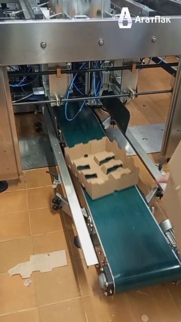 Упаковочная машина TECO Srl модель FT2K