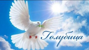 Голубица | стихи христианские