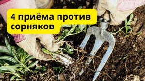 Сорняки навсегда исчезнут  с огорода! ❌🌿Проверено!