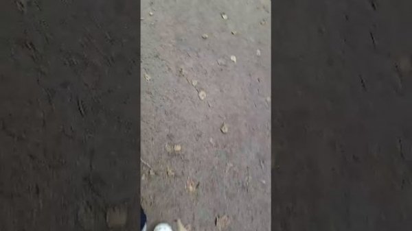 Ид со школы