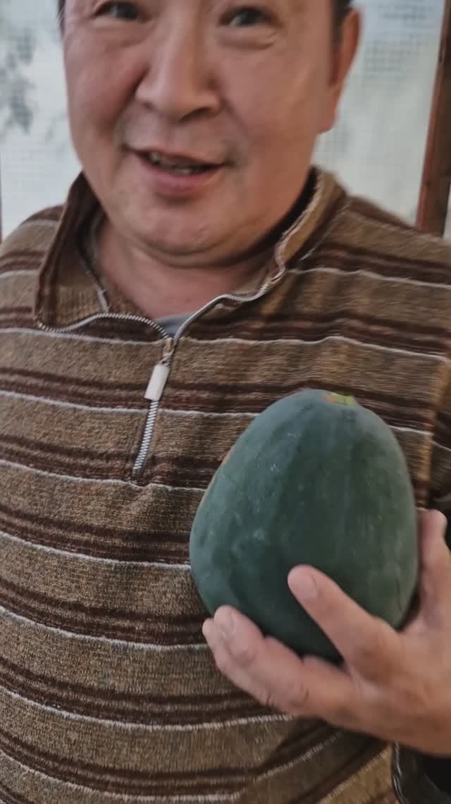 Срезал суровый якутский арбуз с теплицы на даче! 02 сентября 2025 года! смотреть онлайн