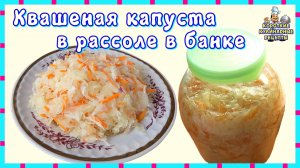 Квашеная капуста на зиму: простой классический рецепт приготовления в рассоле в банке
