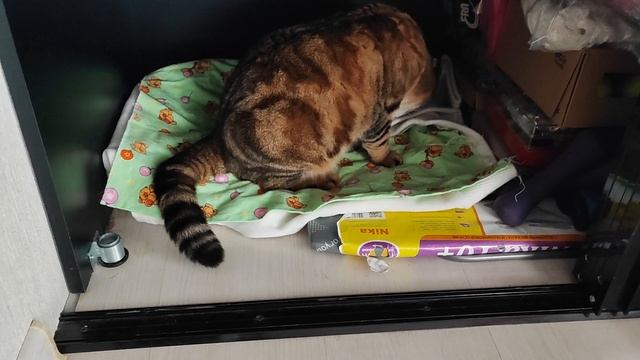 Новое- это хорошо забытое старое😅👍 смотреть онлайн