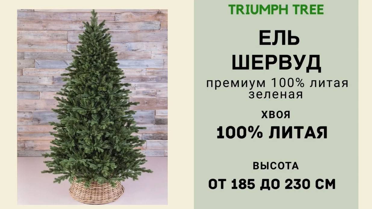 Triumph Tree - ОБЗОР искусственной ели Шервуд премиум 100% литая зеленая смотреть онлайн