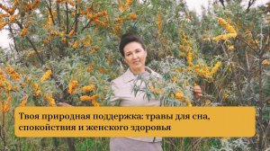 Твоя природная поддержка: травы для сна, спокойствия и женского здоровья.