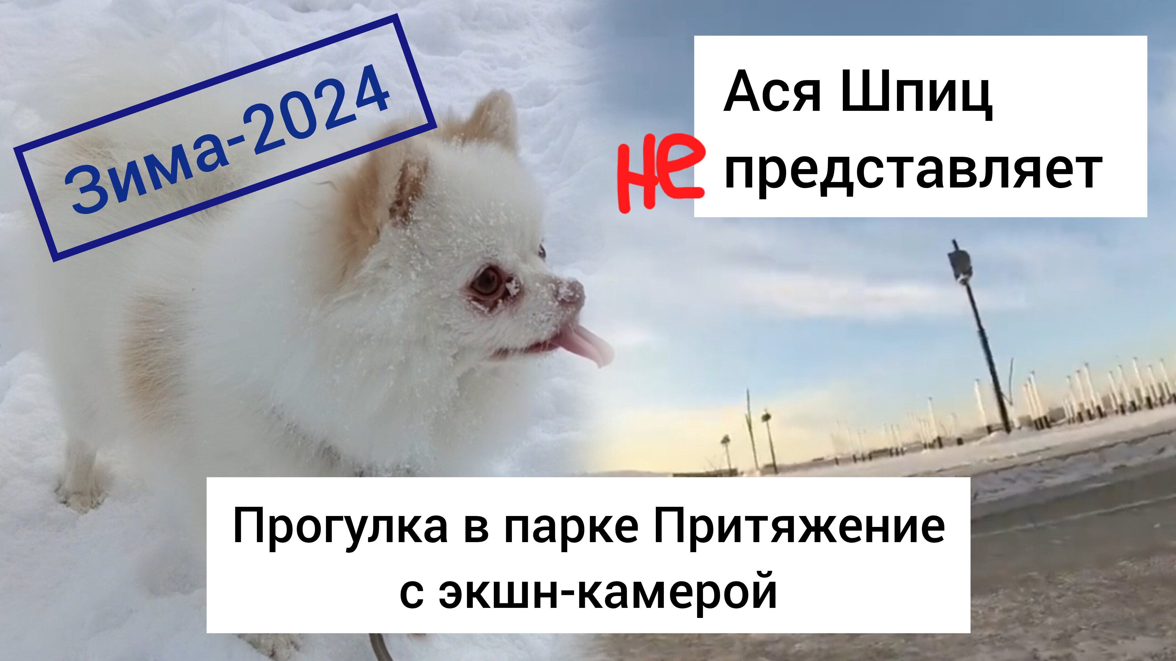 Прогулка глазами собаки в парке Притяжение Магнитогорск смотреть онлайн