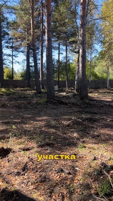 Купили участок, что дальше? смотреть онлайн