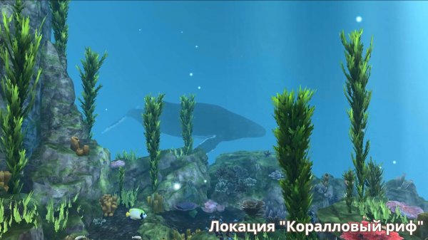 Обзор VR-экспириенса системы VRDiver для бассейнов