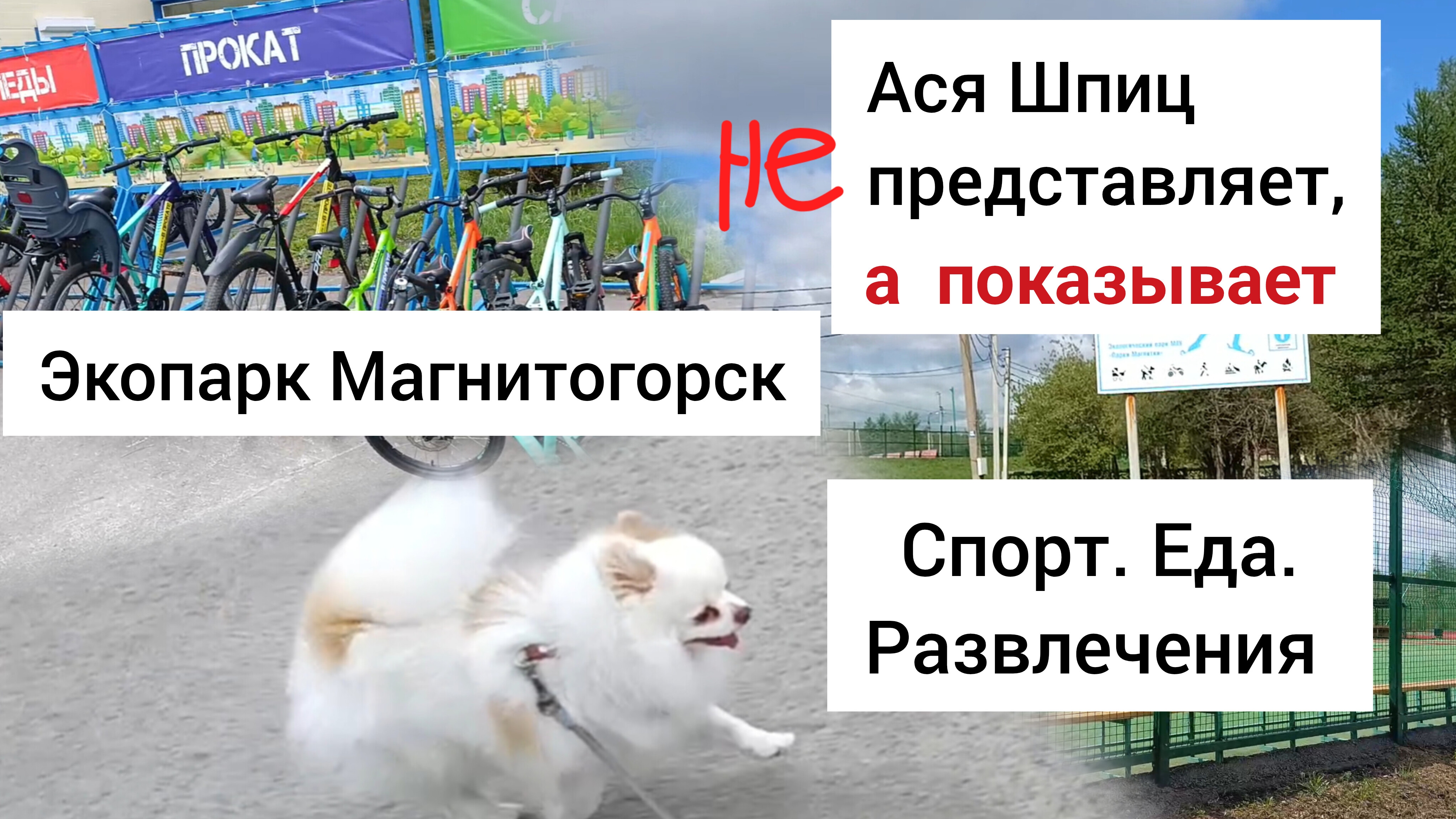 Обзор Экопарка в Магнитогорске с собакой смотреть онлайн