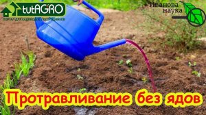 Обеззараживание и очищение земли: лучший способ для реновации почвы. Результаты очистки от болезней.