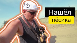 Нашел пёсика в степи. Про закон о тишине и шумных соседях. Море синема свал