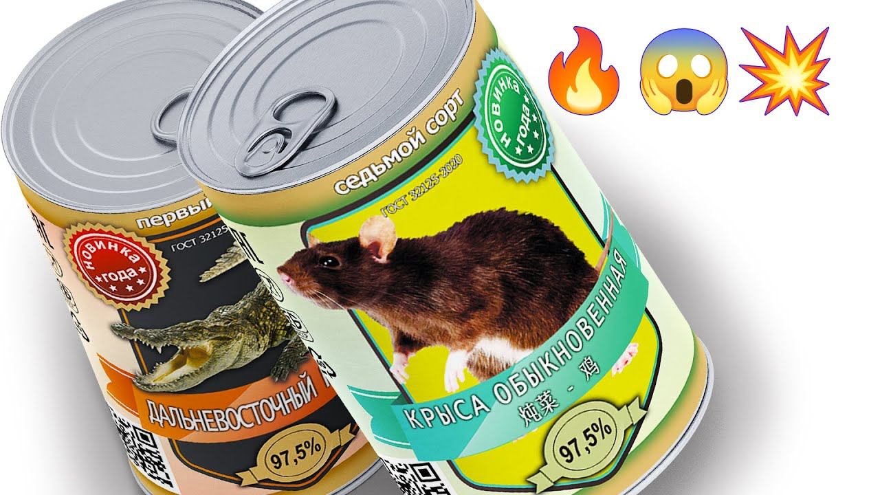 5 БЕЗУМНЫХ ИДЕЙ ДЛЯ РОЗЫГРЫШЕЙ ДРУЗЕЙ (Бесплатные этикетки внутри) смотреть онлайн