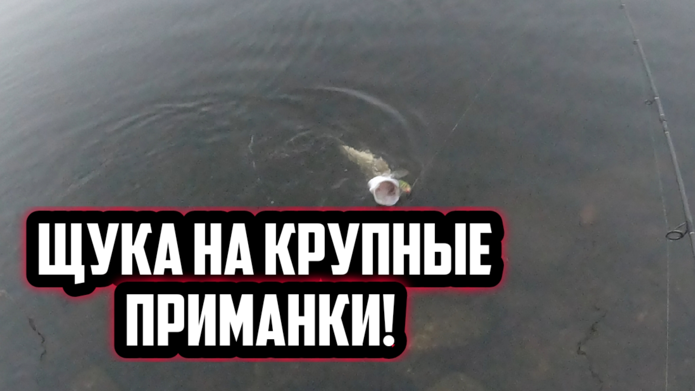 Ловля щуки на большые приманки! Щука на воблер от SALMO sweeper 12! смотреть онлайн