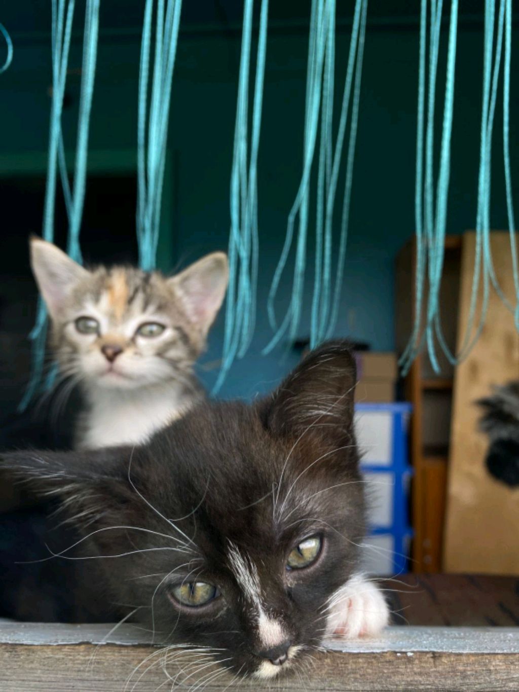 снимаем клип ❤️