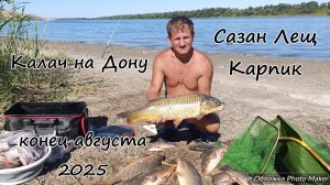 Удачная рыбалка. Сазан, лещ, карасики Калач на Дону. Конец августа 2025 года