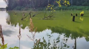 1 СЬЕМКА НА РОГАТКУ