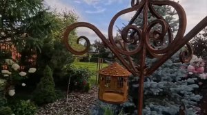 Декоративные элементы в моем хвойном саду 2025.