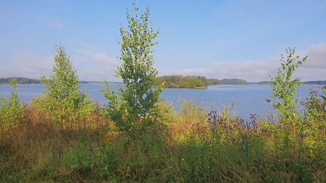 Шексна — река в Вологодской области России, левый приток Волги. Берёт начало из Белого озера. смотреть онлайн