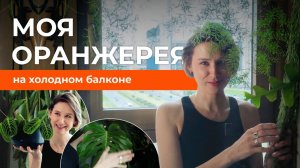 Обзор моих растений, уход, зимовка