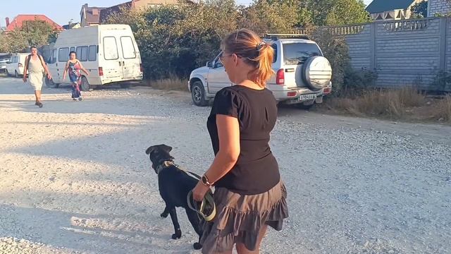 03-09-2025 Тридцать дней актива смотреть онлайн