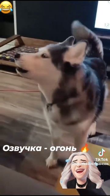 нажаловался #shorts