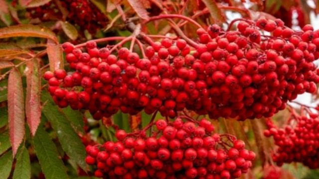 3-е сентября смотреть онлайн