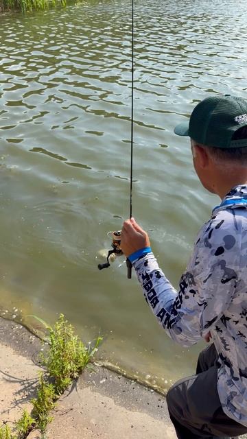 Вот это поклевка! Таких рыб я еще на спиннинг не ловил смотреть онлайн